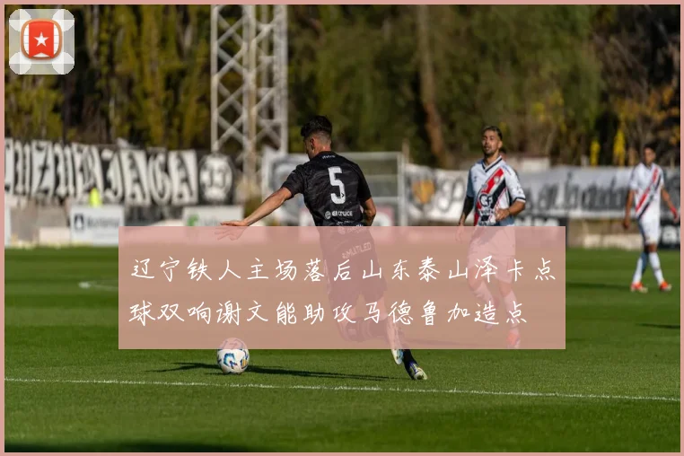 辽宁铁人主场落后山东泰山泽卡点球双响谢文能助攻马德鲁加造点